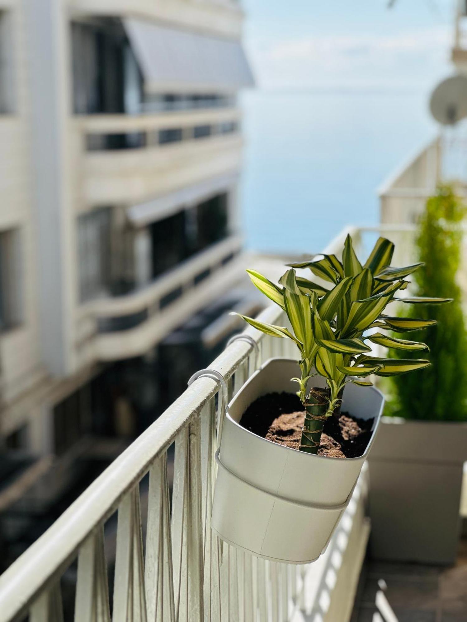 Appartement Aristotelous Square N.4 Thessalonique